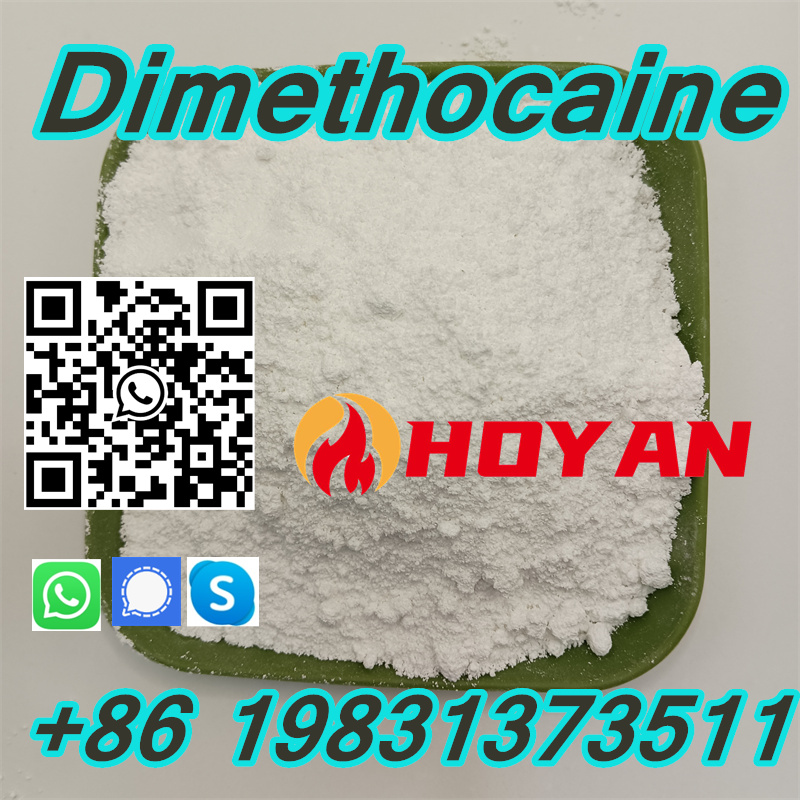 Dimethocaine Larocaine Powder Supply CAS 94-15-5