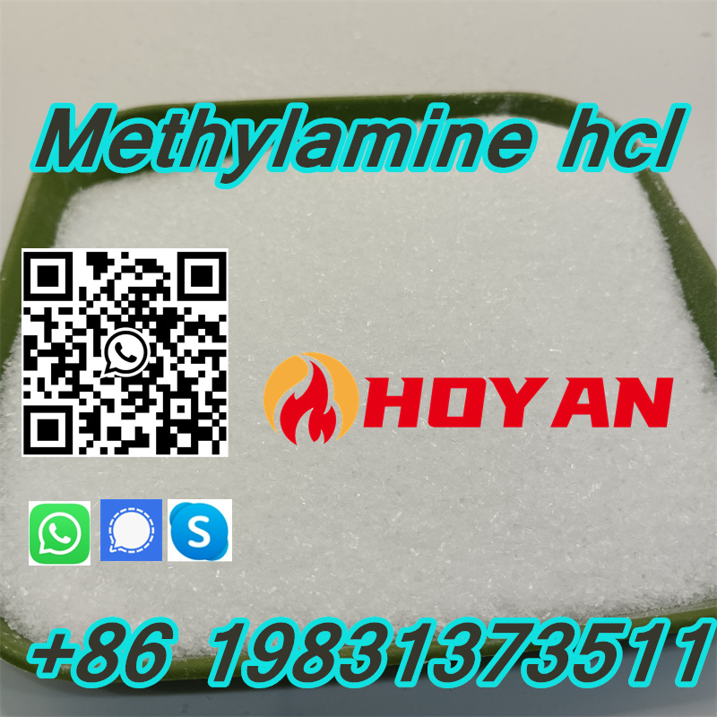 CAS 593-51-1 MMA hcl