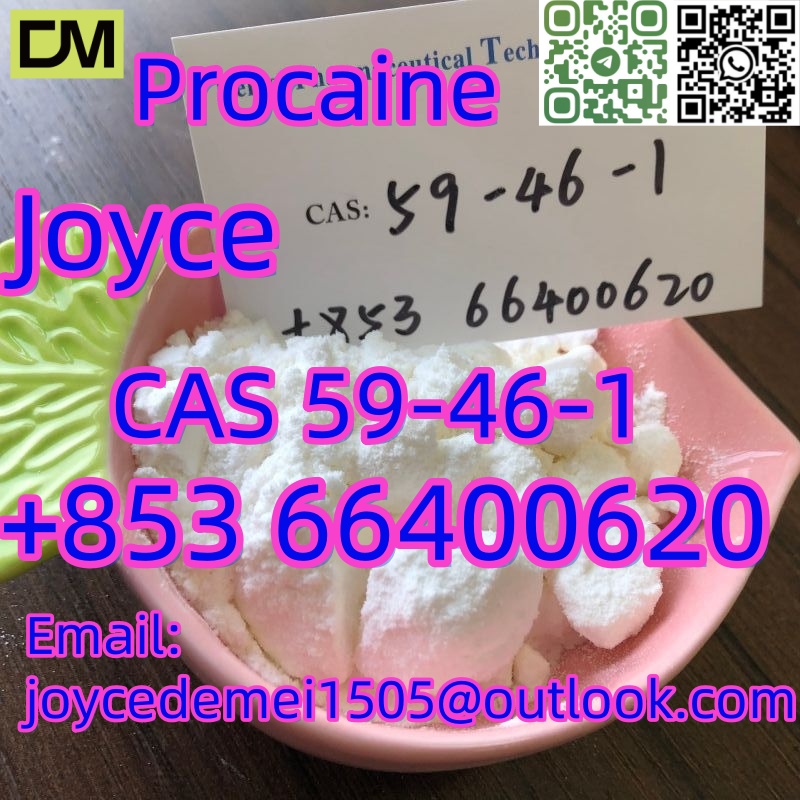 Chinese supply Procaine CAS 59-46-1 white powder with good feedbacks
