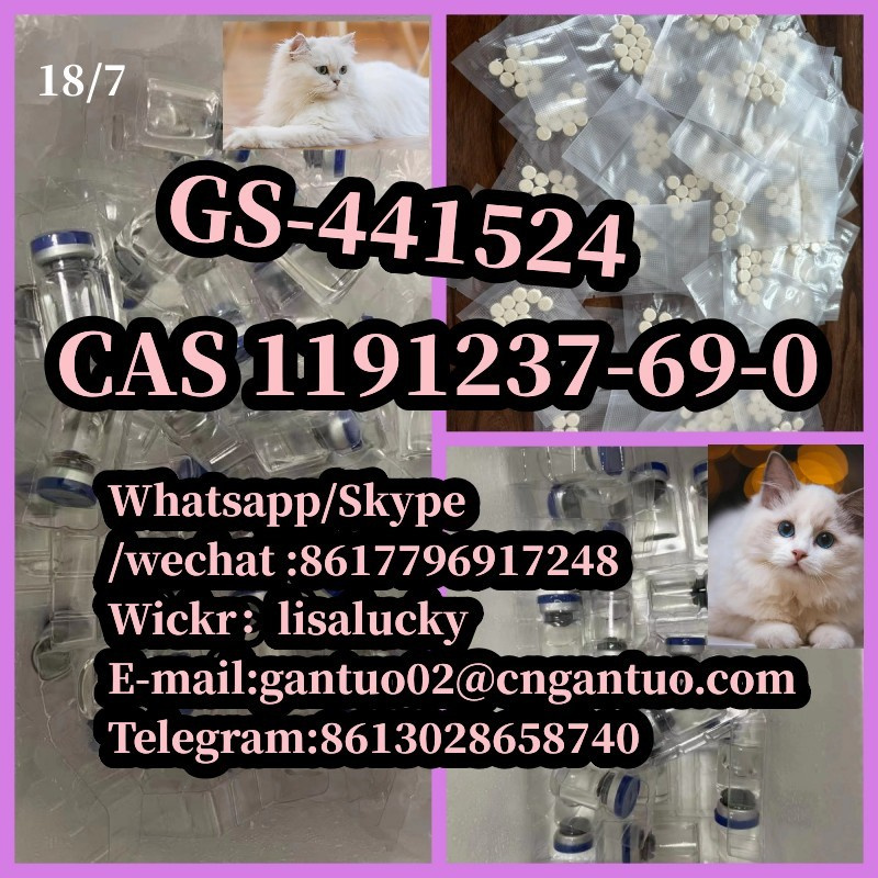 Best selling CAS 1191237-69-0  GS-441524 Remdesivir metabolite 