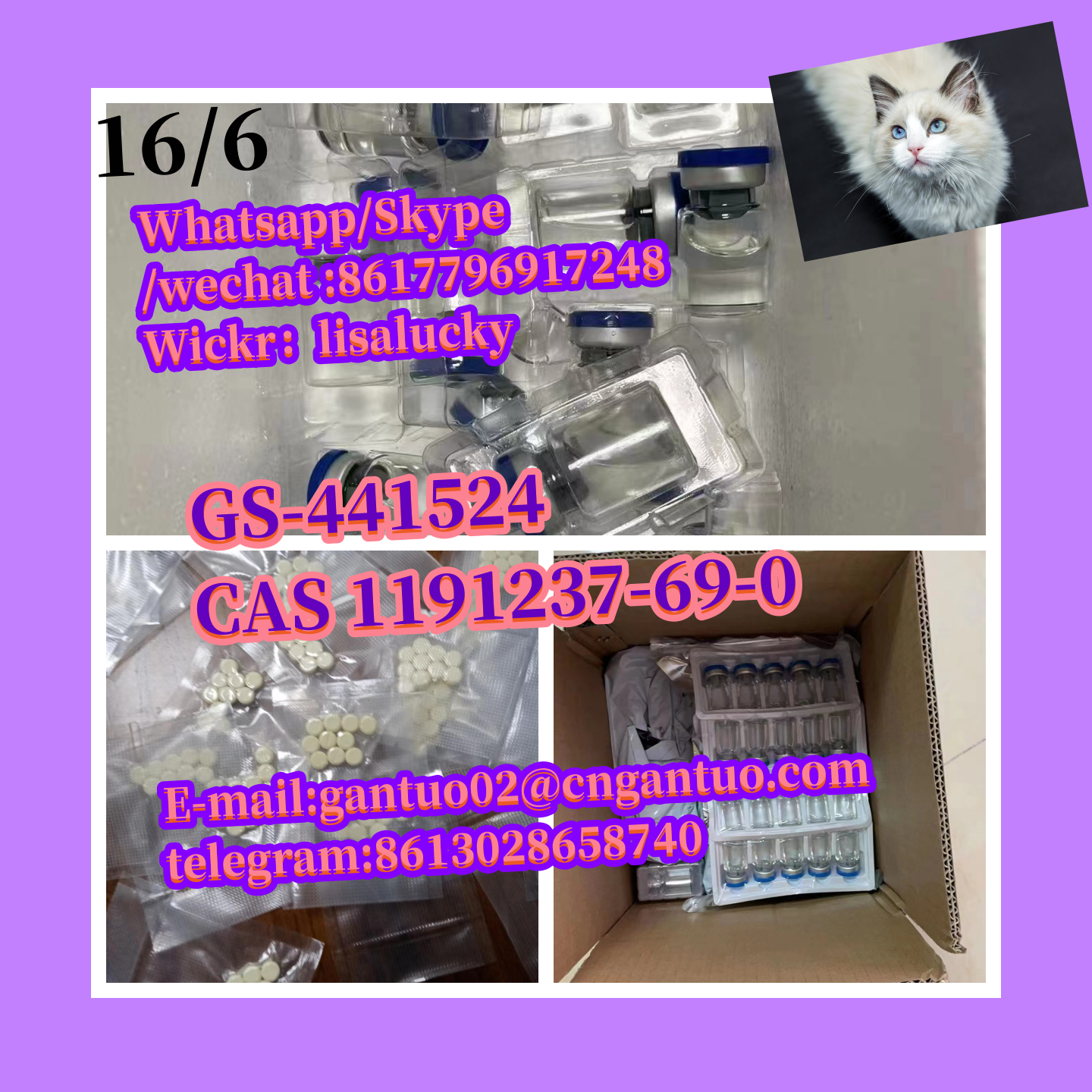 8.Best selling CAS 1191237-69-0  GS-441524 Remdesivir metabolite 