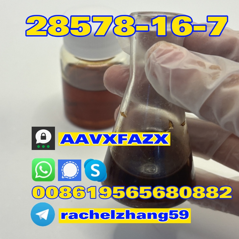 cas:28578-16-7 pmk powder/oil supply