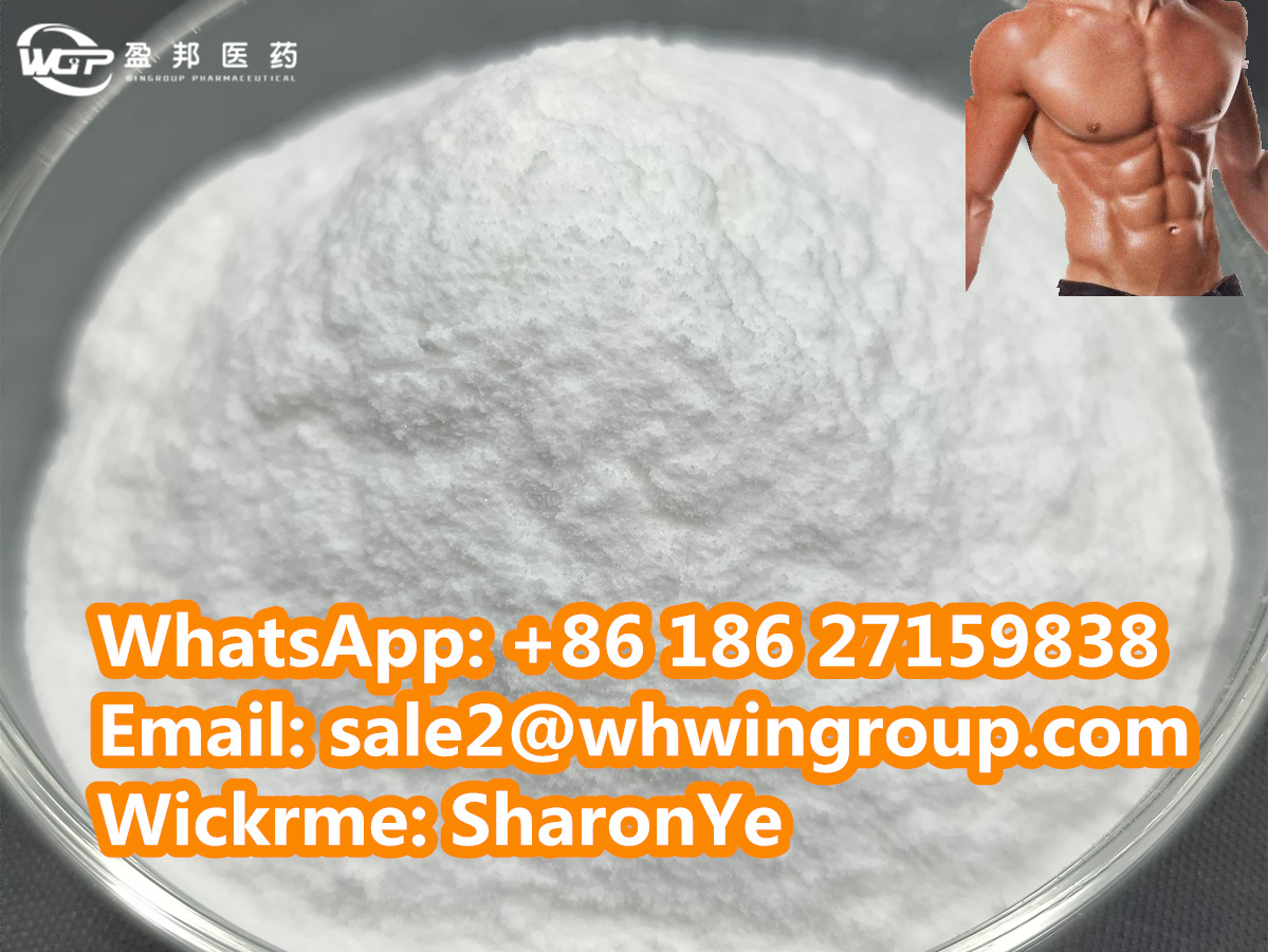 Body Building Muscle Growth Supplements SR9009  CAS 1379686-30-2 for Wholesale Australia/Canada/USA/Sweden WhatsApp: +8618627159838