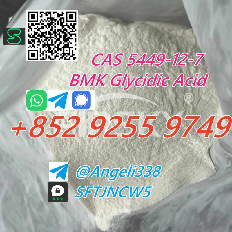 CAS 5449-12-7 BMK Glycidic Acid (sodium salt) tele@Angeli338 99% purity