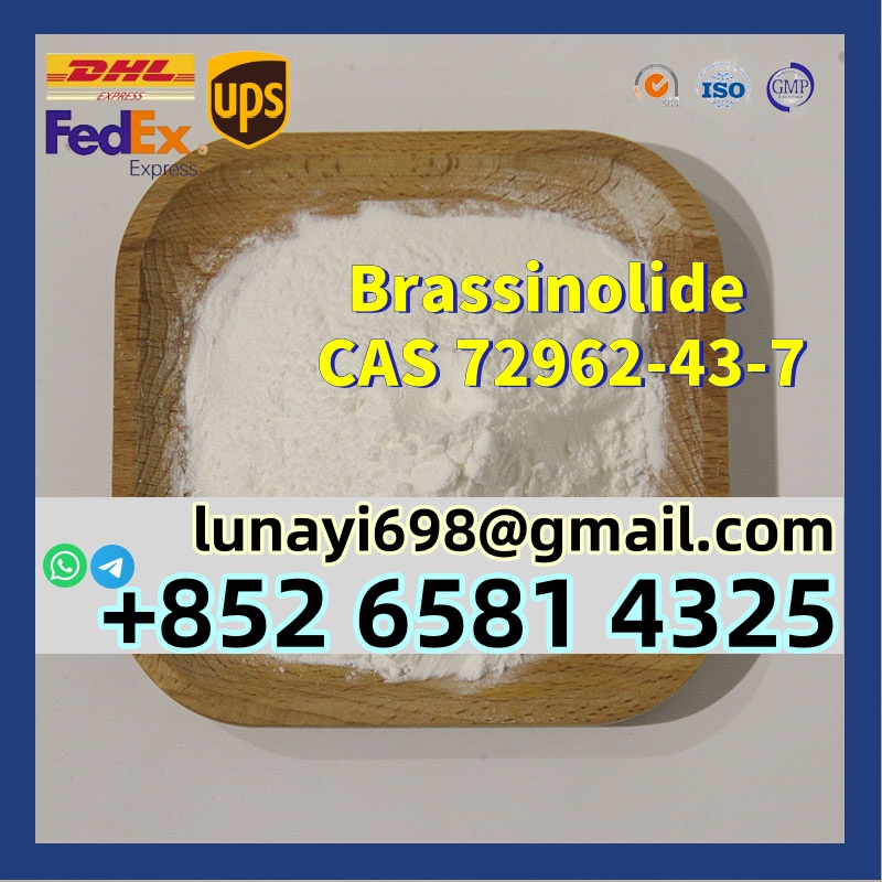 Manufacturer Supply Plant Powder Brassinolide Br CAS 72962-43-7
