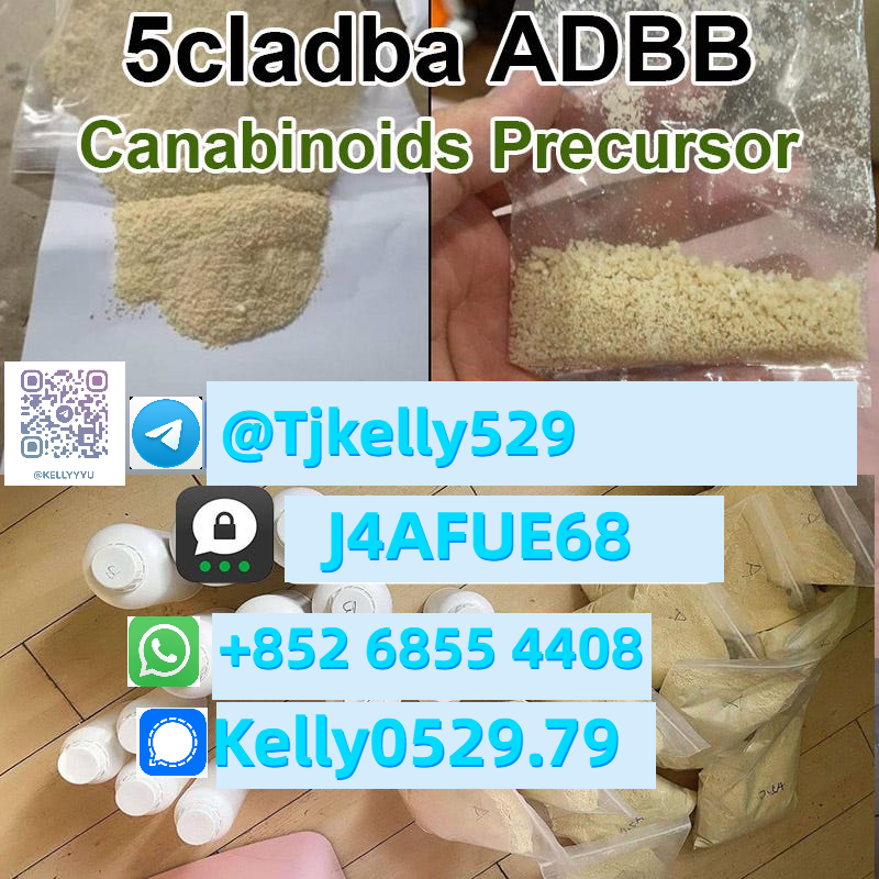 Ready to ship white crystal powder Lidocaine procaine supply