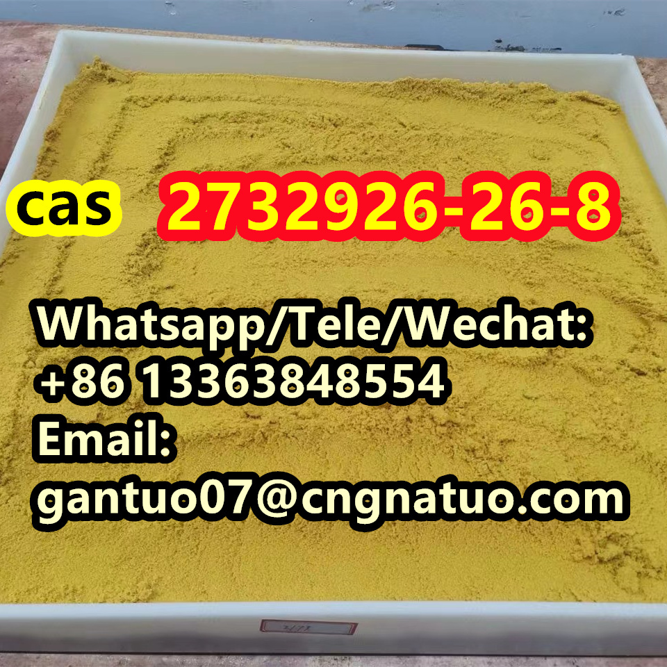 CAS 2732926-26-8 High Quality Powder