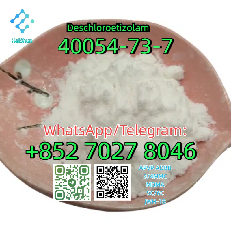 42.cas 40054-73-7  Deschloroetizolam