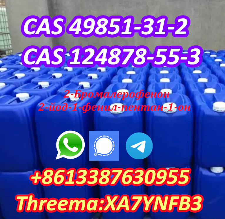 CAS 49851-31-2 2-Bromovalerophenone CAS 49851 31 2 China Reliable Supplier