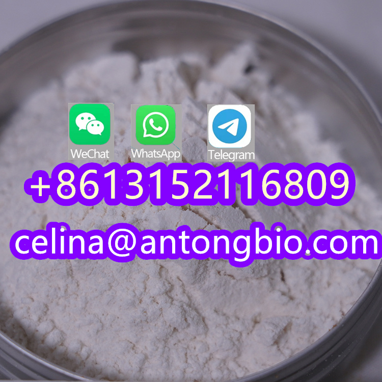  BMK Oil CAS 5449-12-7 Bmk Powder In Germany