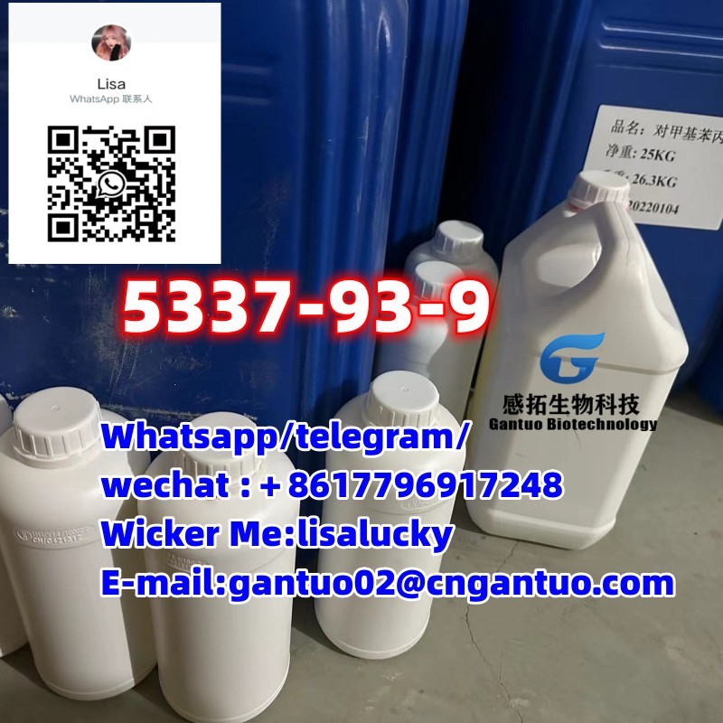 Top quality CAS 5337-93-9 CAS 191790-79-1 4-Methylpropiophenone from China supplier