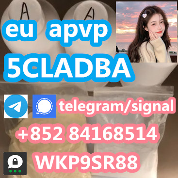 5cladbA 5cladb 5cladba 5cladba With Lowest Price