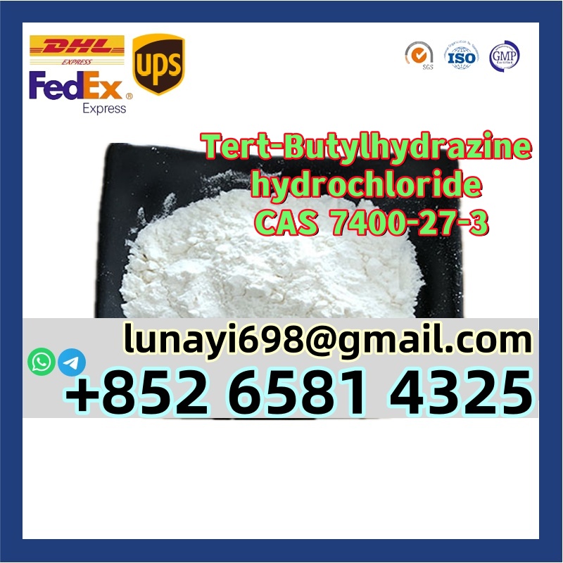 Low Price and Good Quality CAS 7400-27-3 Tert-Butylhydrazine Hydrochloride