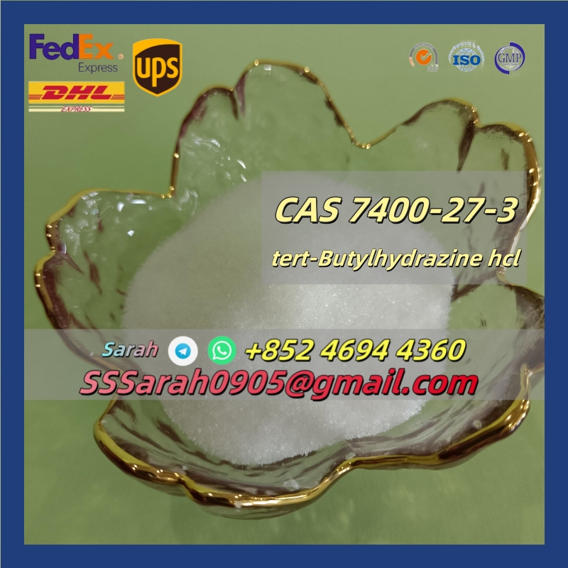 4.Low Price and Good Quality cas 7400-27-3 Tert-Butylhydrazine Hydrochloride