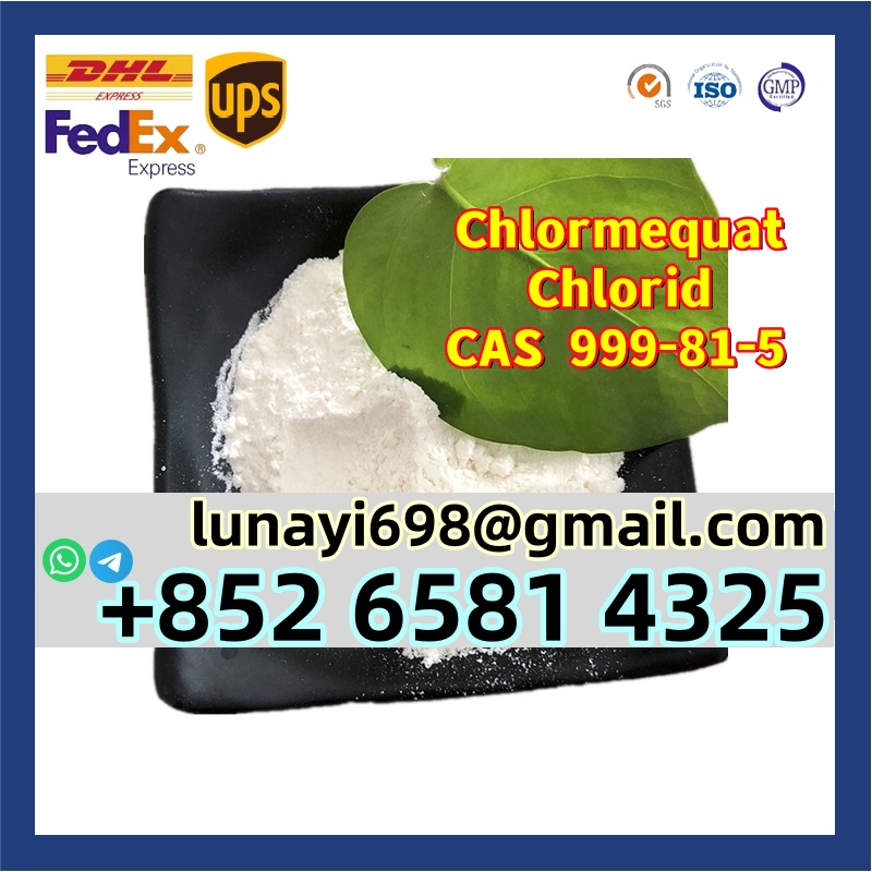 High Purity Chlormequat Chloride Powder CAS 999-81-5 with Safe Delivery