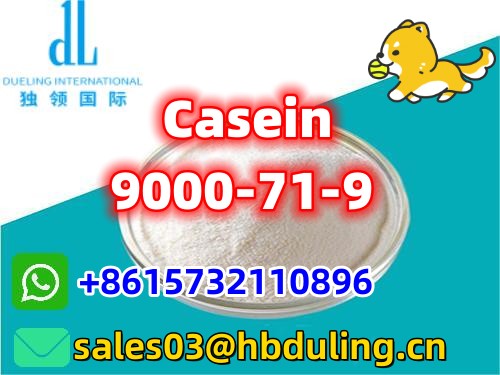 Casein,9000-71-9
