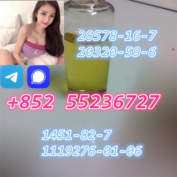 CAS 28578–16–7 PMK ethyl glycidate NEW PMK POWDER