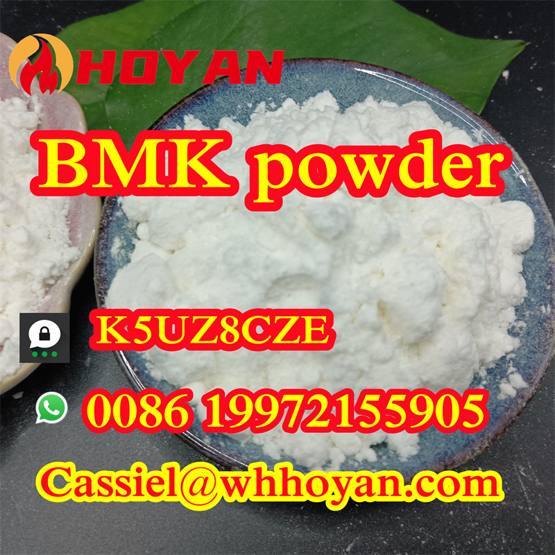5449-12-7 BMK Glycidic Acid (sodium salt) powder