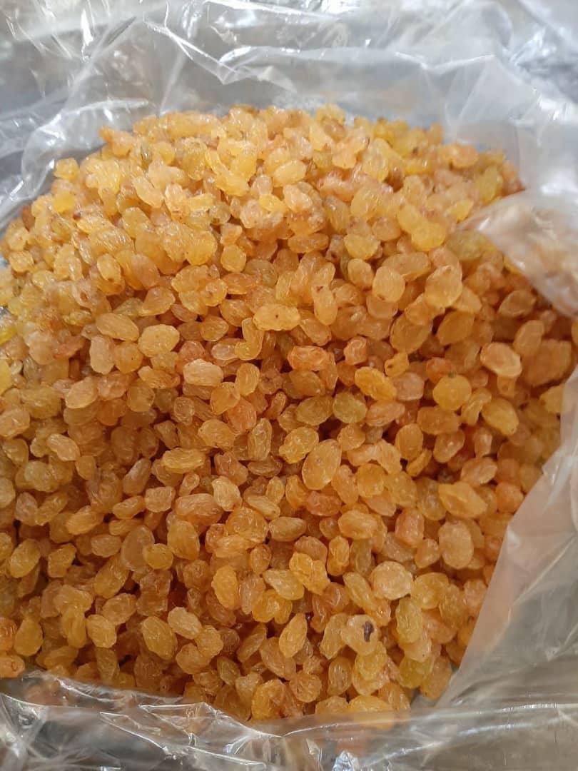 Golden malayer raisins | iranian raisins with great quality!