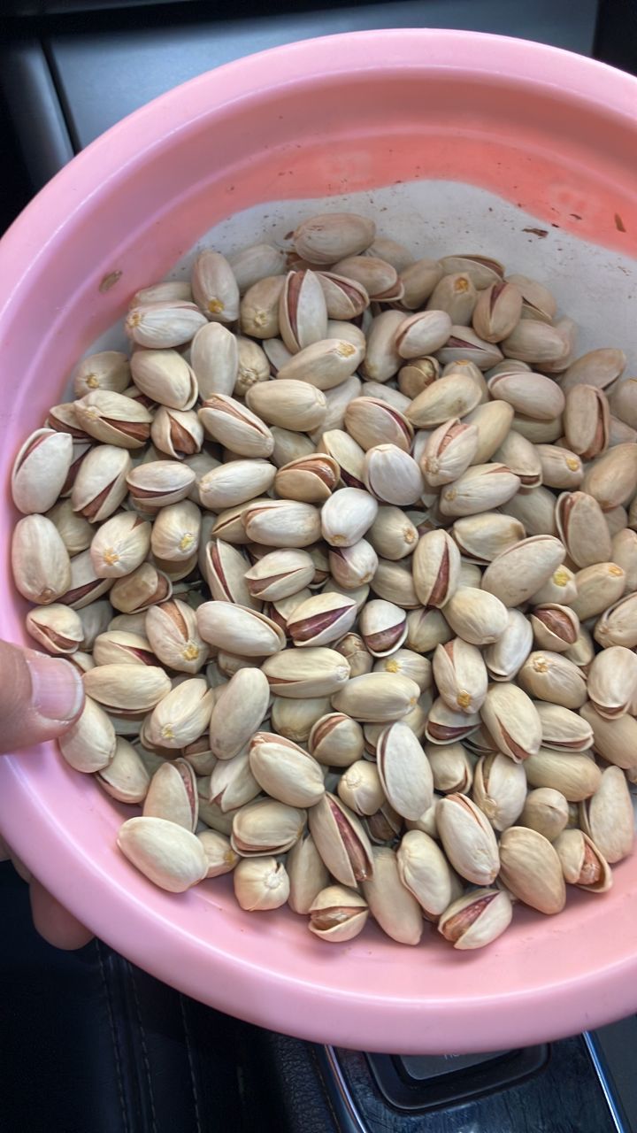 Ahmad aghaei pistachio 