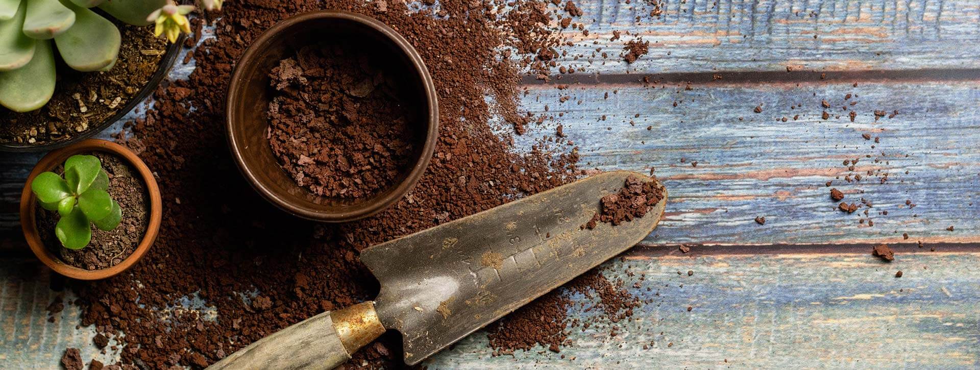 فروشگاه نهال پیوندک