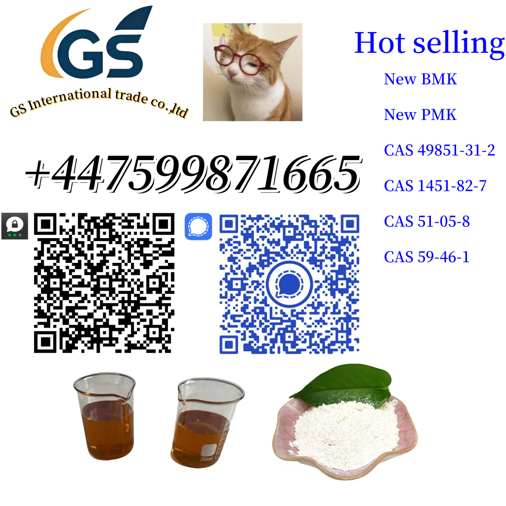 New BMK Powder CAS 5449-12-7