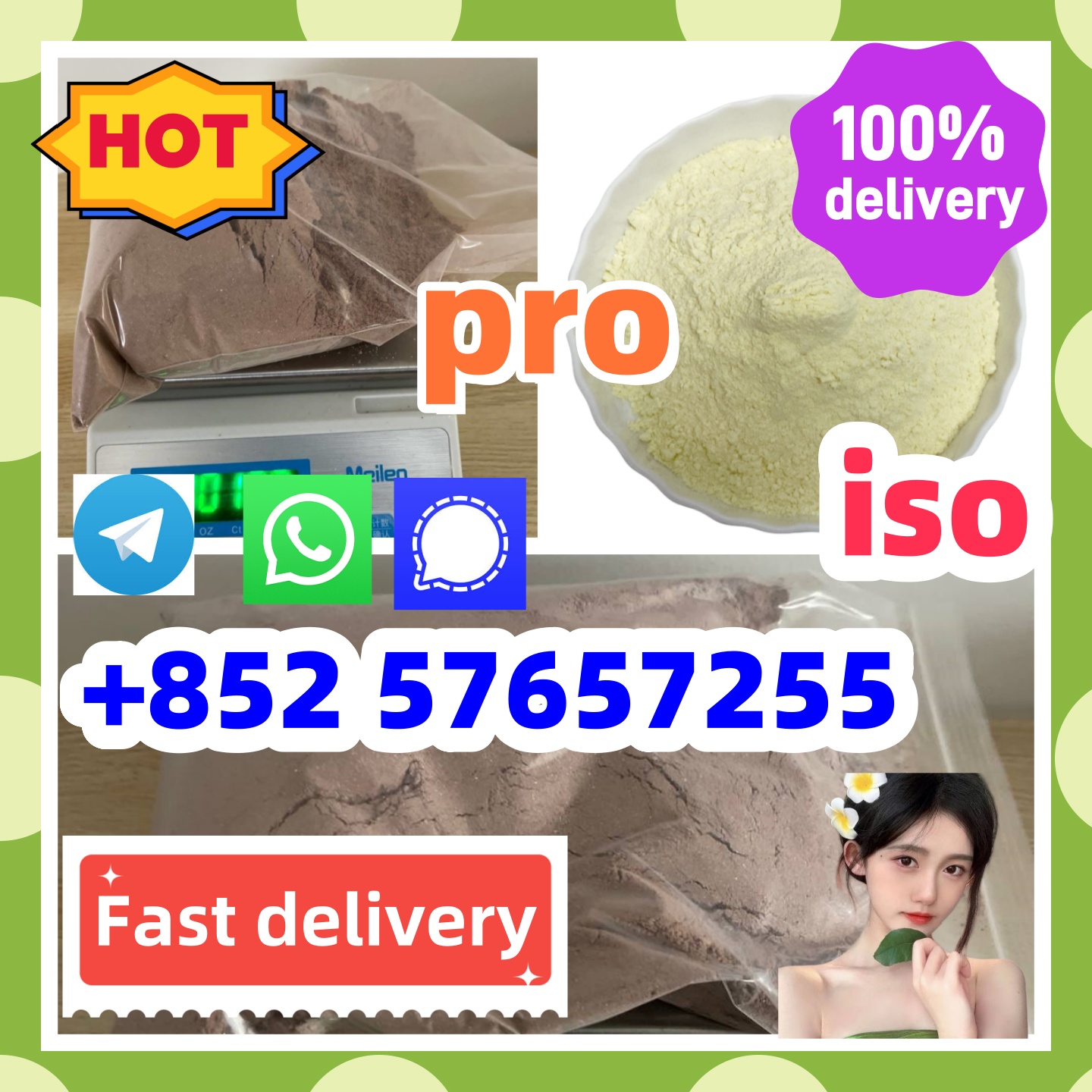 119276-01-6 protonitazene 14188-81-9   iso