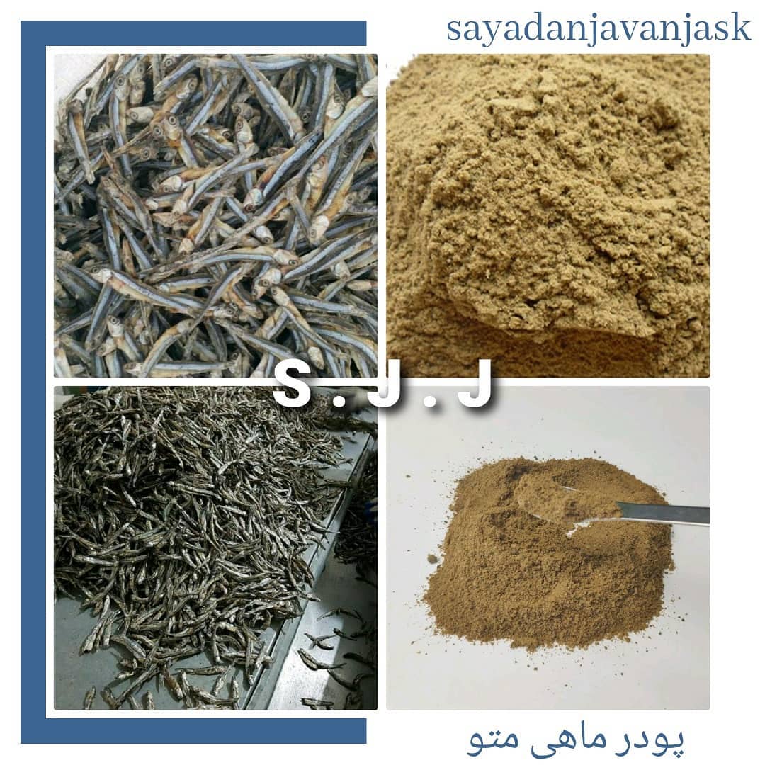 خرید و فروش پودر ماهی،پودر میگو، ماهی خشک 