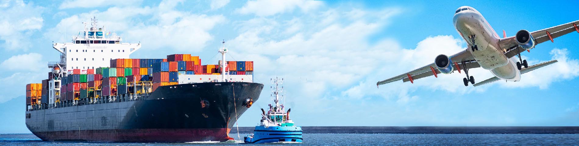 بازرگانی زهرائی  کارگزار رسمی گمرک ایران