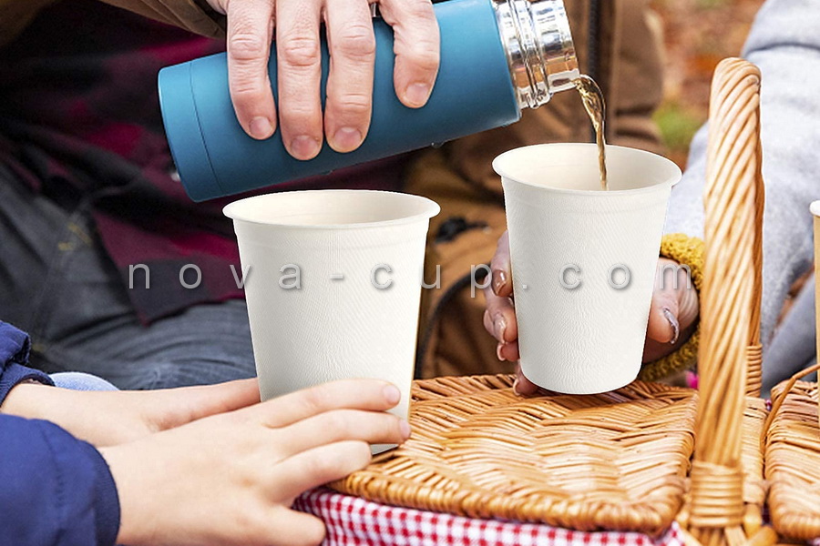 فروش لیوان یکبار مصرف گیاهی