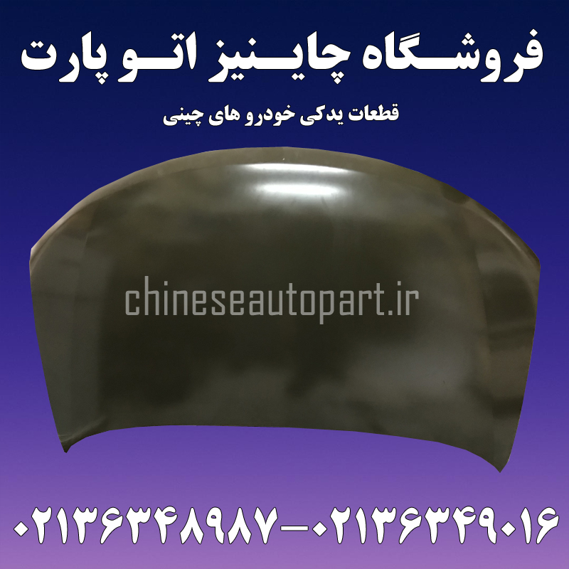 درب موتور آریو ZOTYE Z300