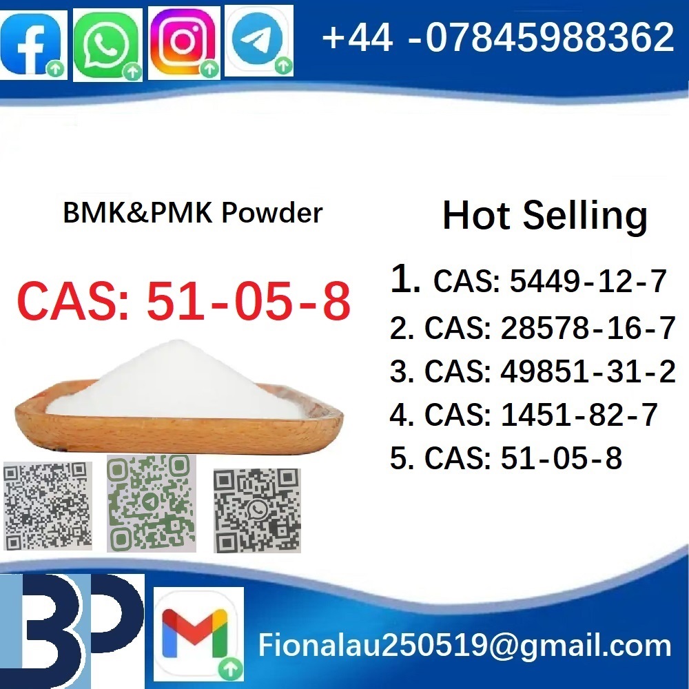 51-05-8 BMK PMK Procaine HCl raw materials