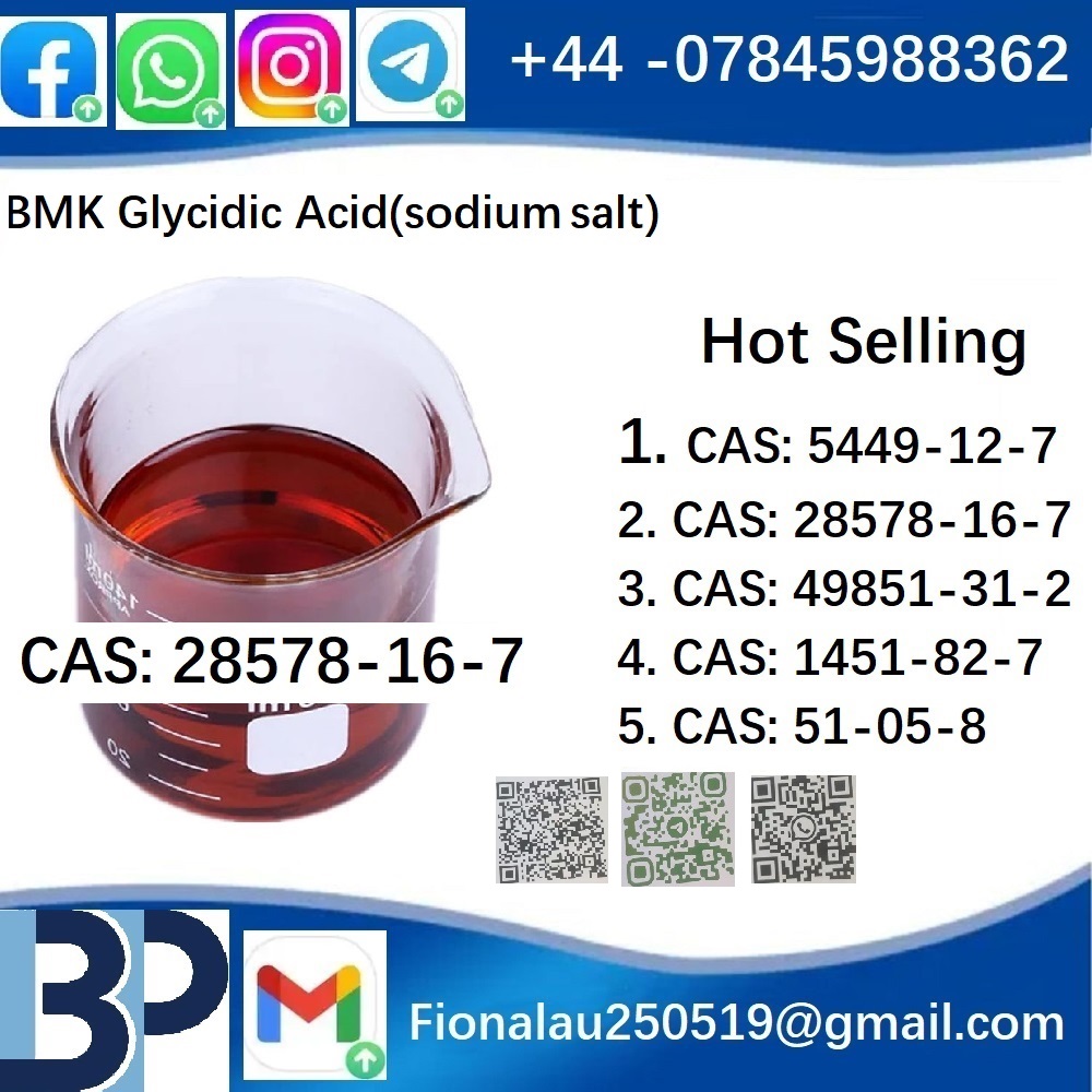 BMK PMK CAS 28578-16-7 Chemical raw materials