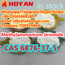 High Quality CAS 6876-37-5 Methylammonium Bromide with best price +86 19565688180