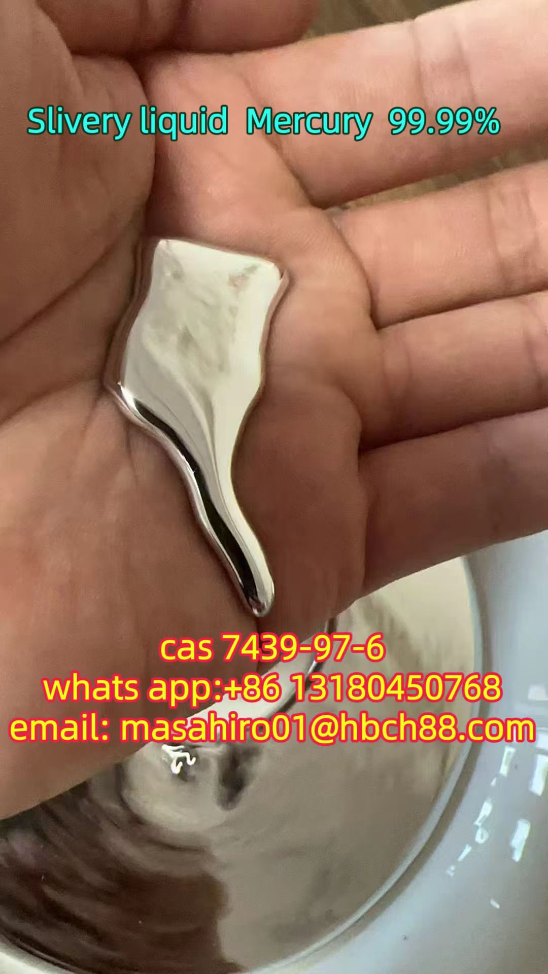 7439-97-6  Sliver Mercury