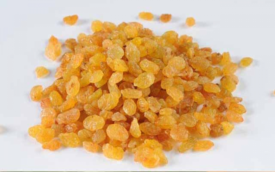 خرید کشمش انگوری به صورت مستقیم از کارخانه