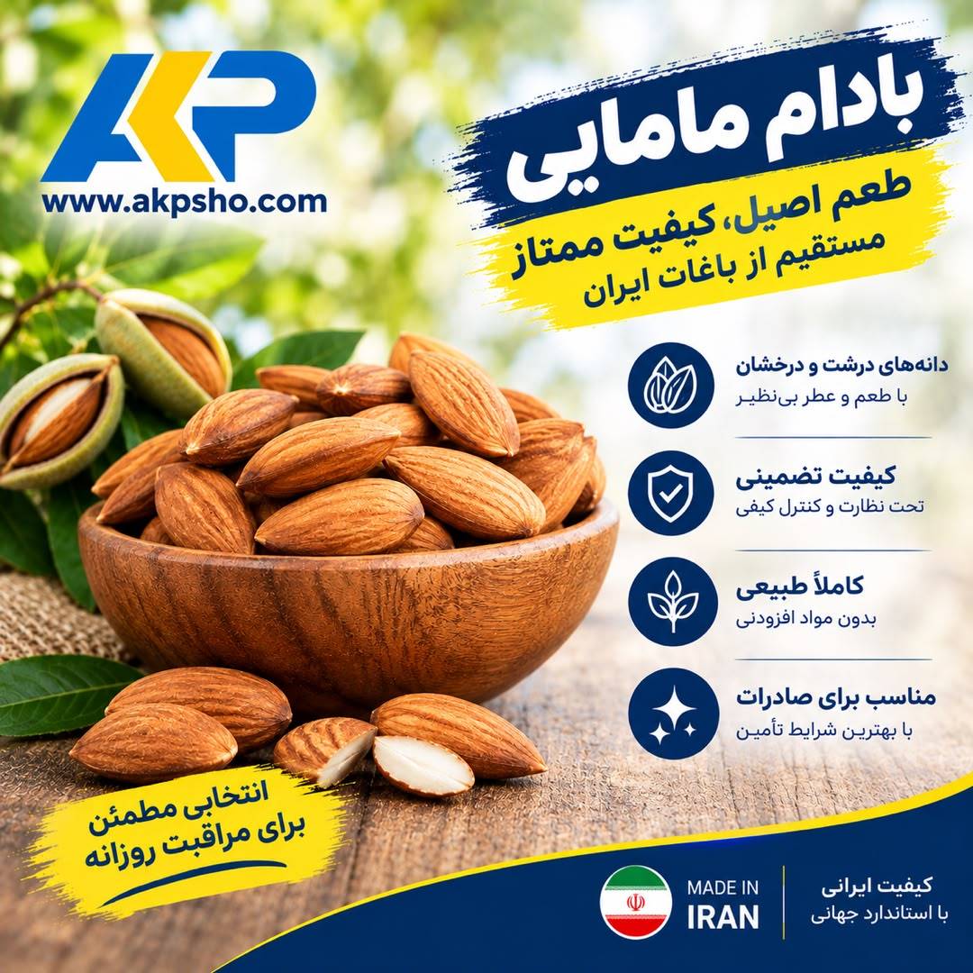 خرید عمده بادام مامایی بصورت مستقیم از کارخانه