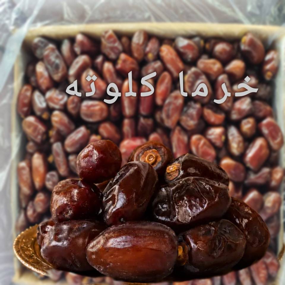 خرید عمده خرما کلوته بصورت مستقیم از کارخانه