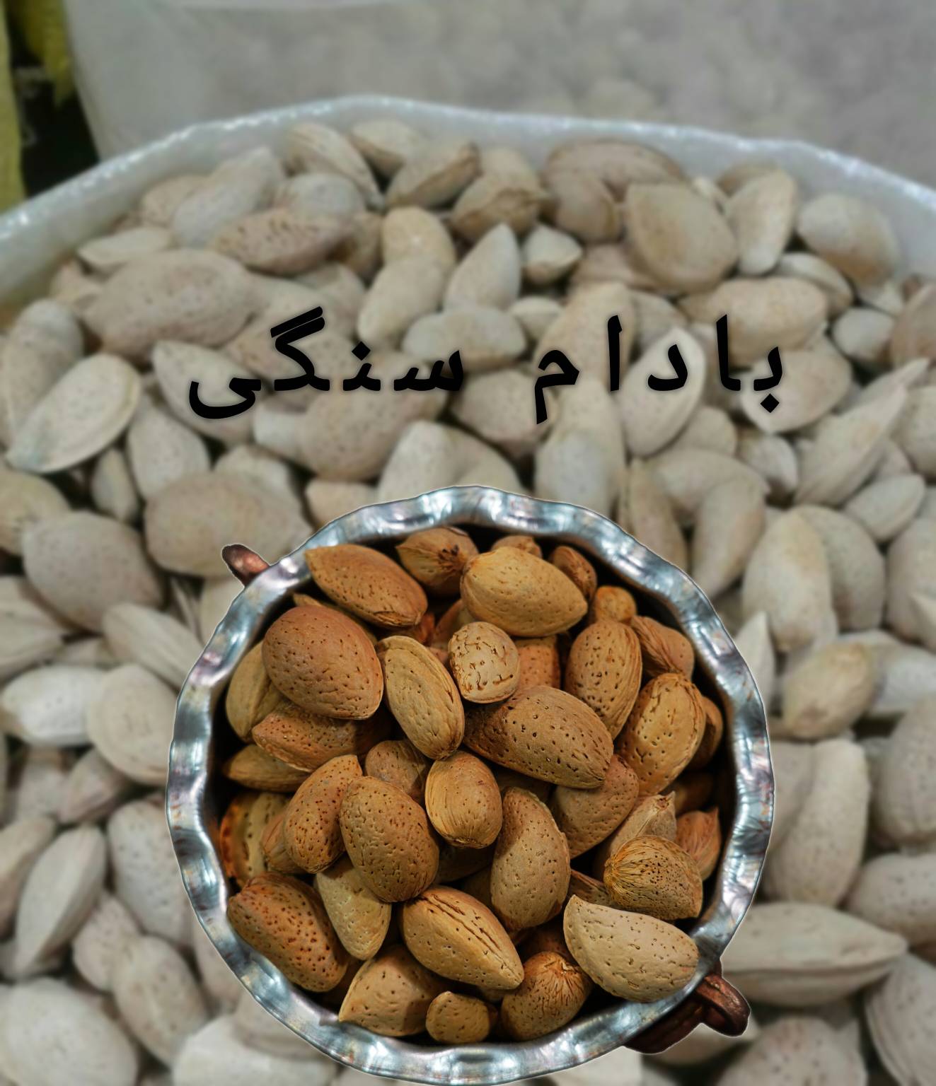 خرید عمده بادام سنگی بصورت مستقیم از کارخانه