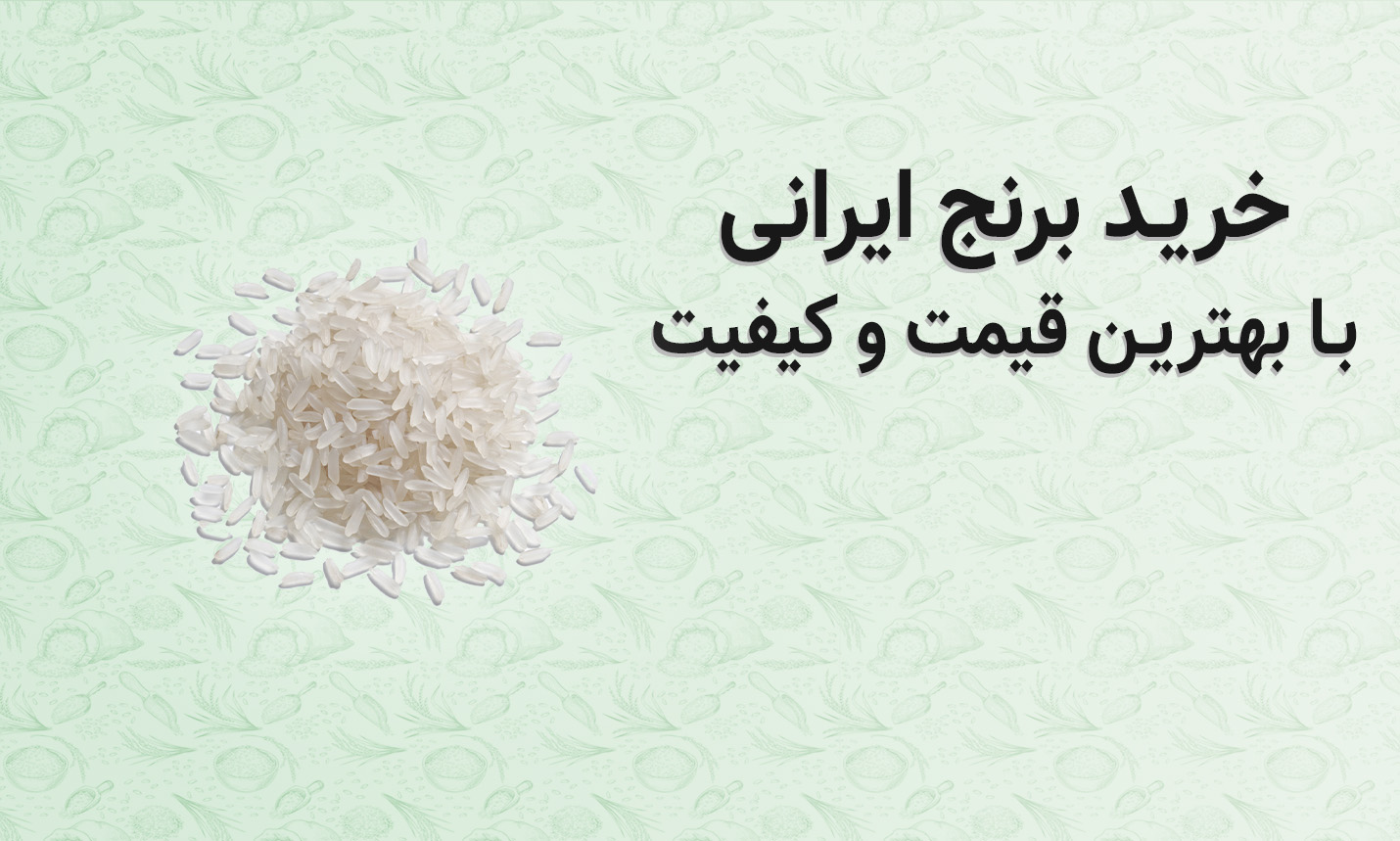 خرید برنج ایرانی با بهترین قیمت و بهترین کیفیت
