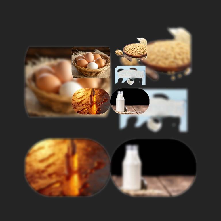 خرید عمده پروتئین هیدرولیز شده ابریشم  به صورت مستقیم از کارخانه