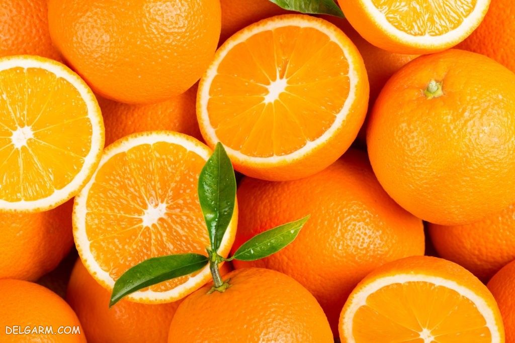 خرید پرتقال صادراتی از باغ های شمال به صورت مستقیم