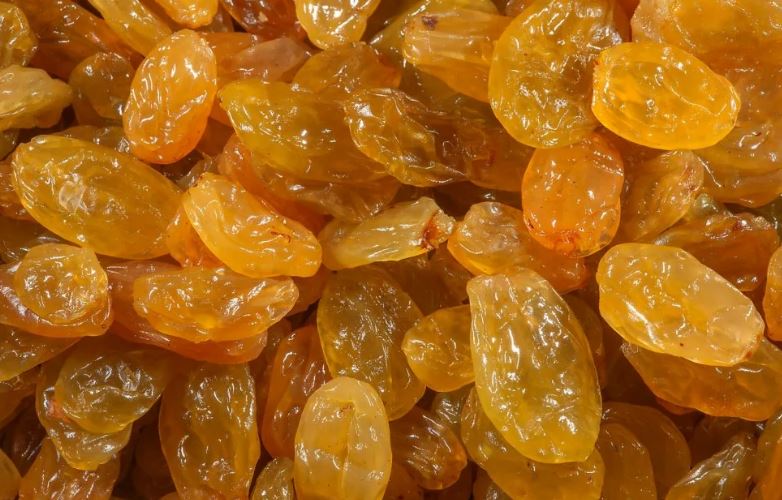 خرید کشمش تیزابی به صورت مستقیم از کارخانه