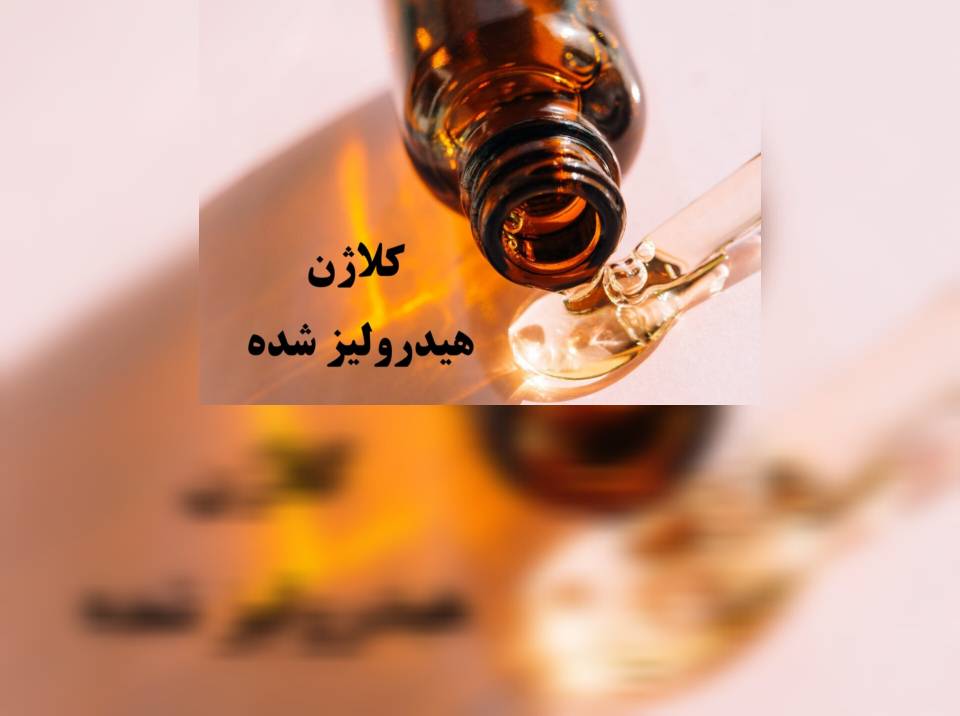 خرید عمده پروتئین هیدرولیز شده کلاژن بصورت مستقیم از کارخانه 