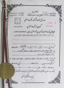 Patent of polymer and biopolymer nano rings in 2015