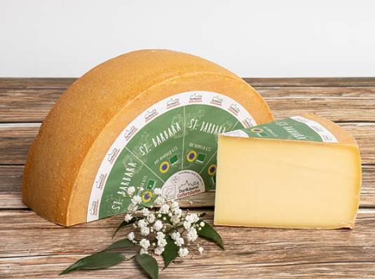 پنیر سنت باربارا