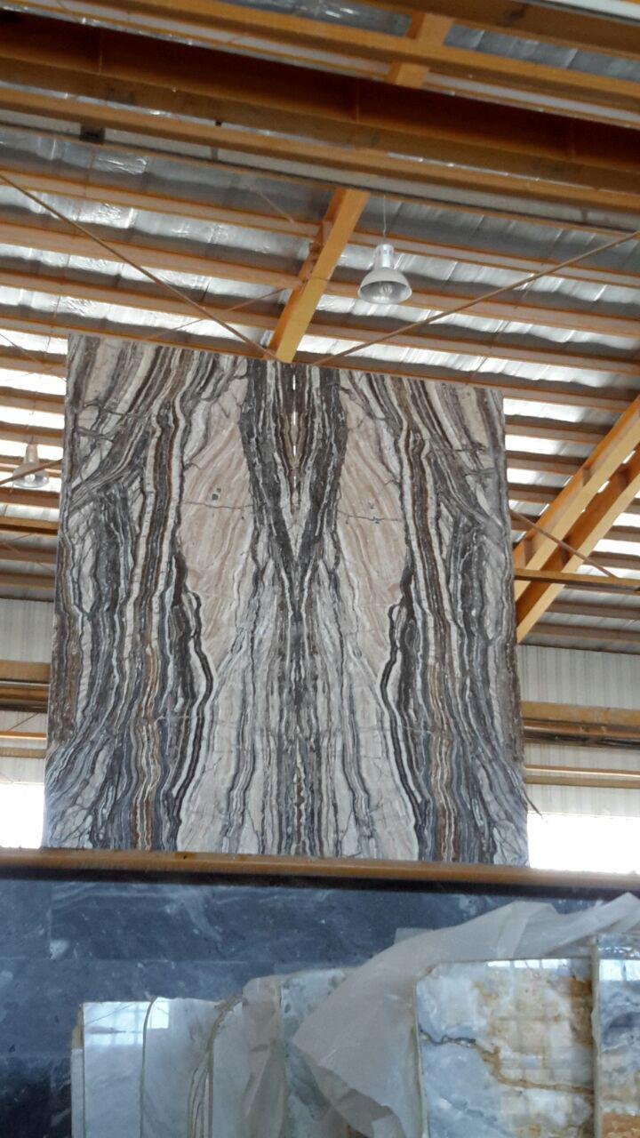 تراانیکس بوک مچ