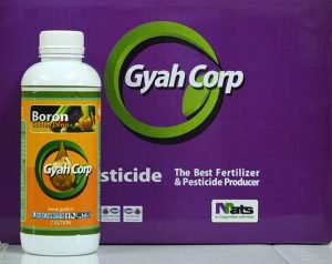 A drop of blonde gold