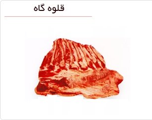  قلوه گاه