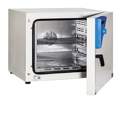 Drying and heating oven with forced convection BF55E